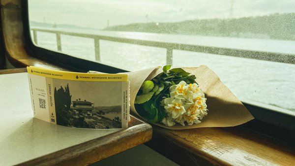 What Are the Must-Have Essentials for a Camping Adventure in the UK?